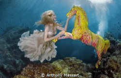 Underwater Riding by Anthony Massart 